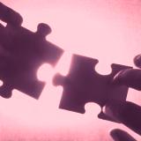 Networks of International Cooperation 
